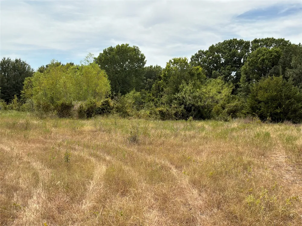 6858 SW County Road 0022 Road Corsicana, TX 75109