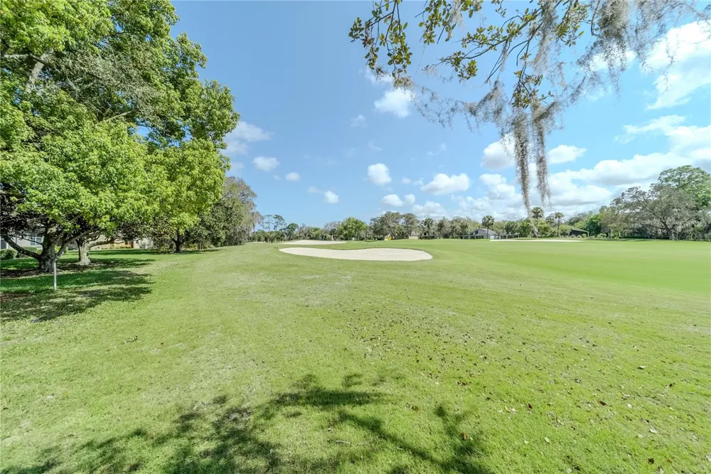 550 BOTTLEBRUSH COURT New Smyrna Beach, FL 32168