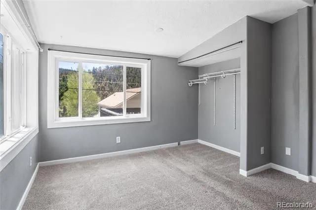 644 Virginia Street Idaho Springs, CO 80452
