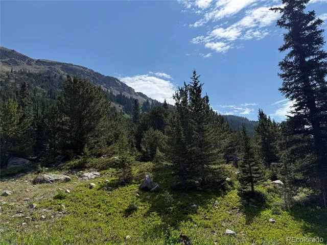 4880 Fourth of July Road Nederland, CO 80466