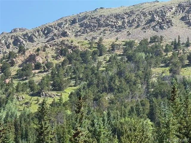 3802 Fourth of July Road Nederland, CO 80466