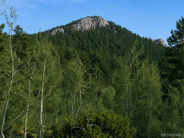11957 Elk Trail Road Conifer, CO 80433