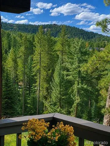 11957 Elk Trail Road Conifer, CO 80433