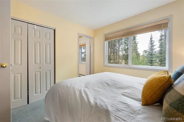 753 Mulligan #3 Fraser, CO 80442