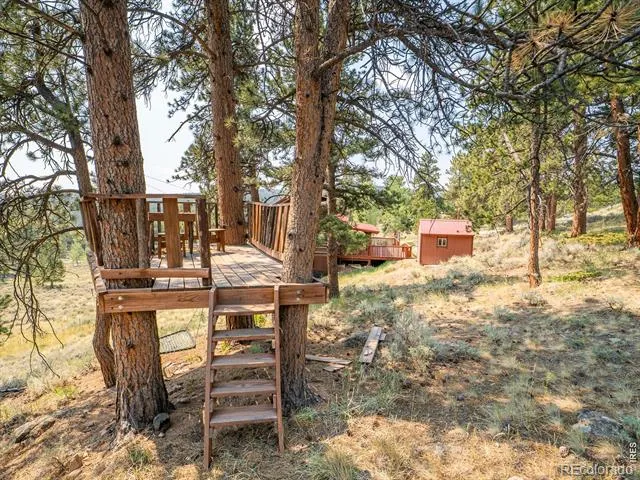 296 Caddo Road Red Feather Lakes, CO 80545