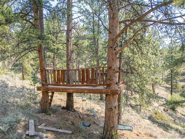 296 Caddo Road Red Feather Lakes, CO 80545