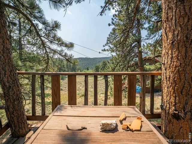 296 Caddo Road Red Feather Lakes, CO 80545