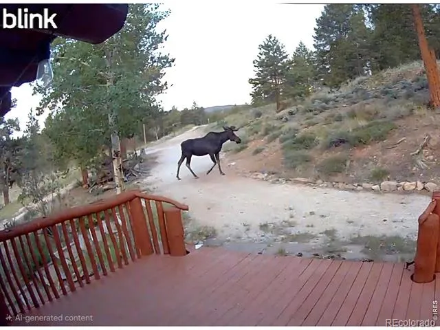 296 Caddo Road Red Feather Lakes, CO 80545