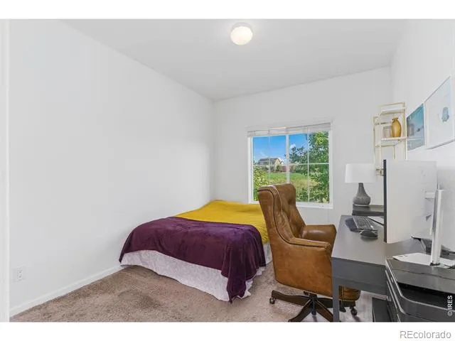 4438 E 95th Court Thornton, CO 80229