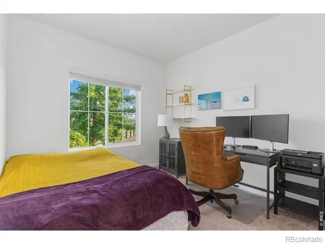 4438 E 95th Court Thornton, CO 80229