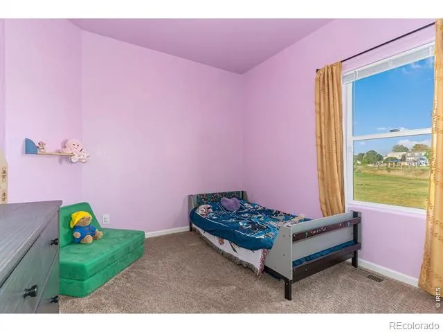 4438 E 95th Court Thornton, CO 80229