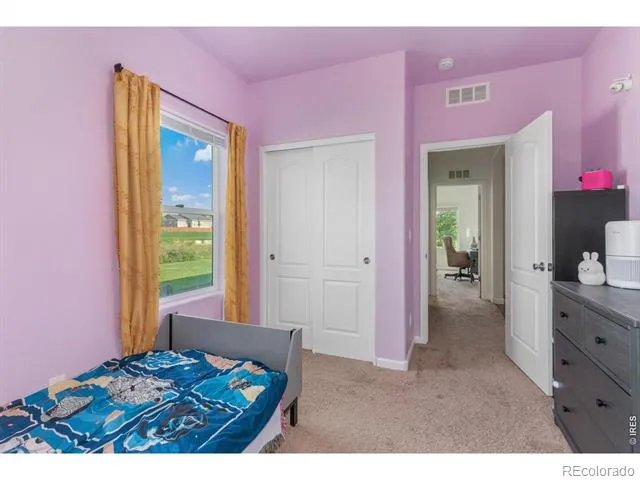 4438 E 95th Court Thornton, CO 80229