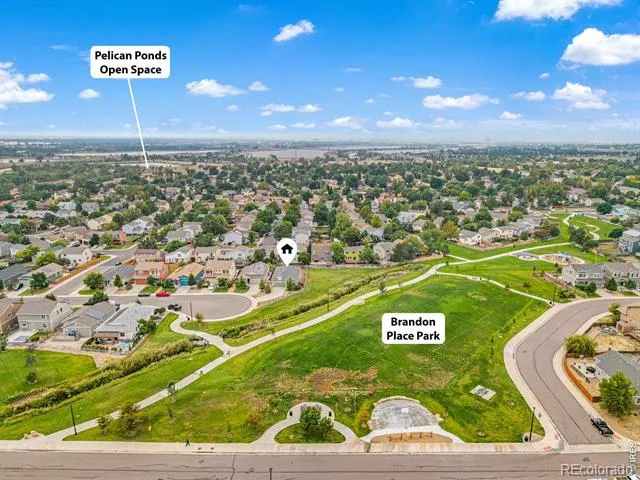 4438 E 95th Court Thornton, CO 80229