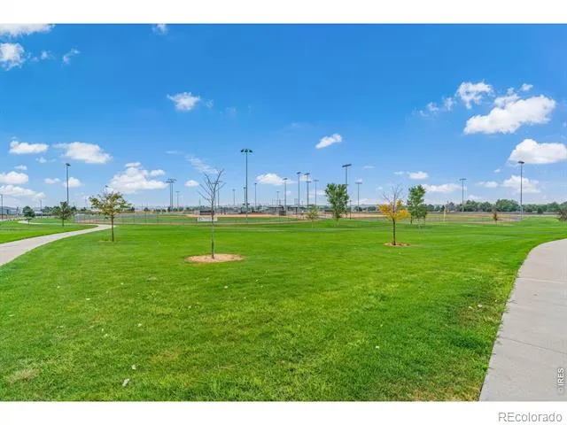 4438 E 95th Court Thornton, CO 80229