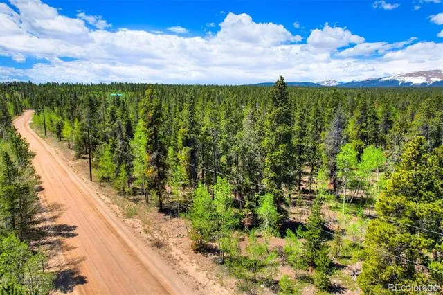 337 Busch Run Road Fairplay, CO 80440