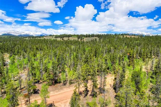 337 Busch Run Road Fairplay, CO 80440