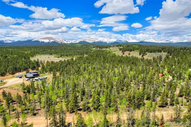 337 Busch Run Road Fairplay, CO 80440