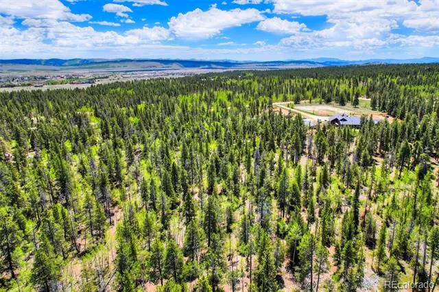 337 Busch Run Road Fairplay, CO 80440