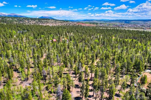 337 Busch Run Road Fairplay, CO 80440