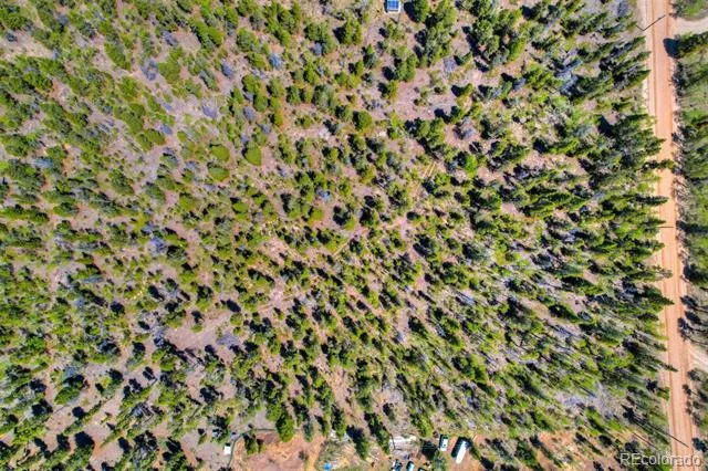 337 Busch Run Road Fairplay, CO 80440