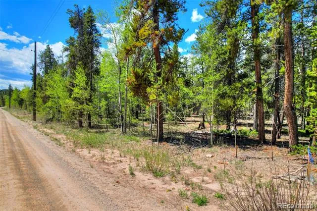 337 Busch Run Road Fairplay, CO 80440