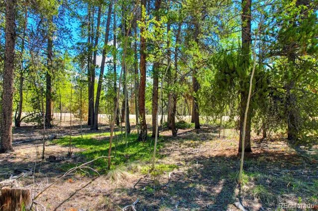 337 Busch Run Road Fairplay, CO 80440