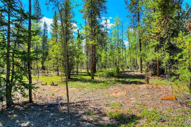337 Busch Run Road Fairplay, CO 80440