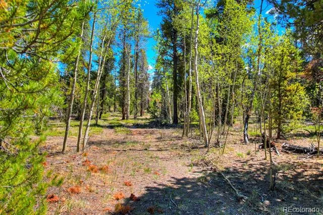 337 Busch Run Road Fairplay, CO 80440