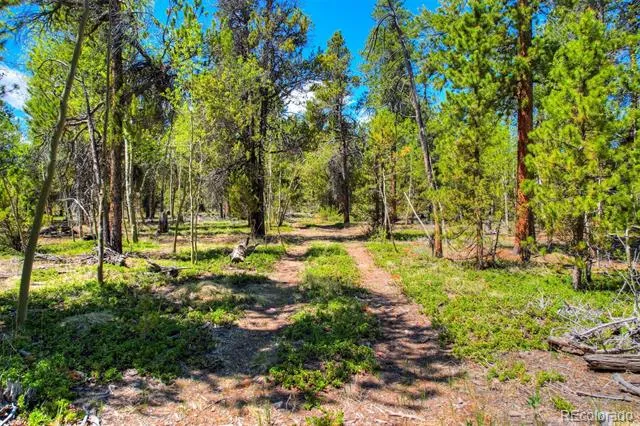 337 Busch Run Road Fairplay, CO 80440