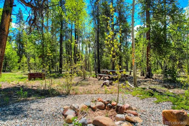 337 Busch Run Road Fairplay, CO 80440