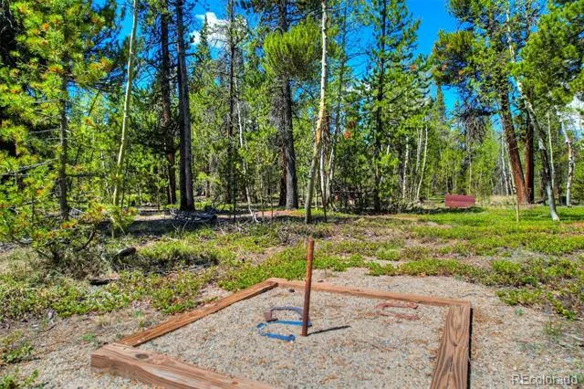 337 Busch Run Road Fairplay, CO 80440