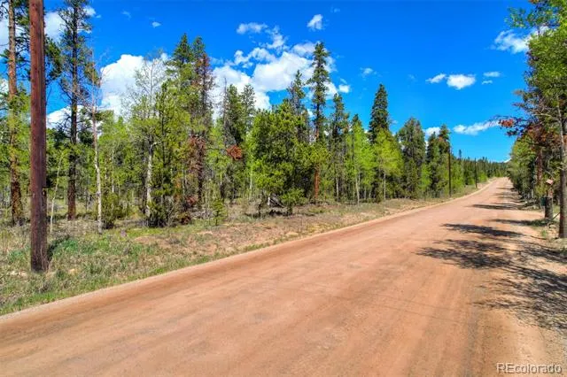 337 Busch Run Road Fairplay, CO 80440