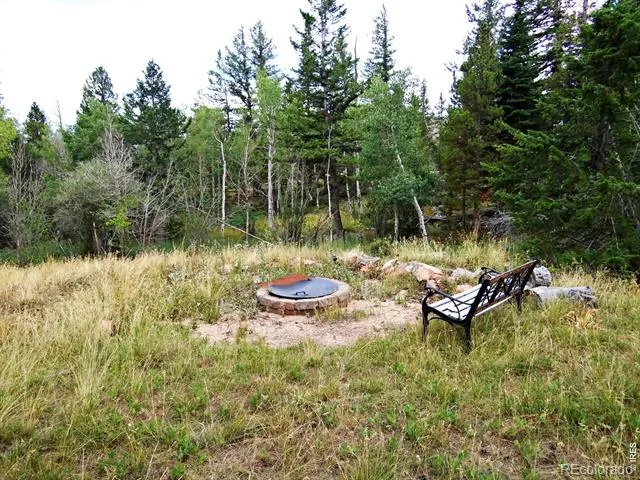 171 Spokane Court Red Feather Lakes, CO 80545