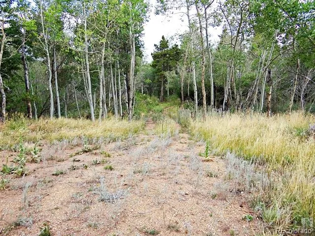 171 Spokane Court Red Feather Lakes, CO 80545