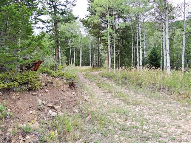 171 Spokane Court Red Feather Lakes, CO 80545