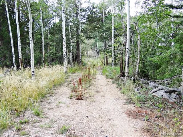 171 Spokane Court Red Feather Lakes, CO 80545