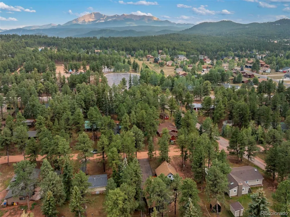 220 Wildflower Drive Woodland Park, CO 80863