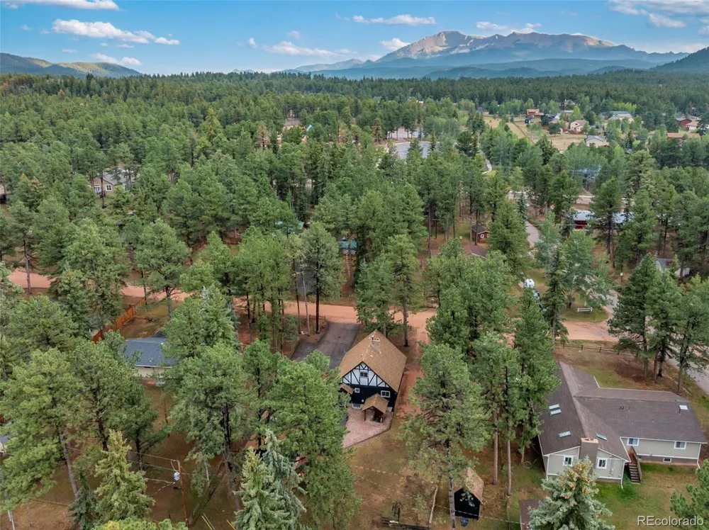 220 Wildflower Drive Woodland Park, CO 80863