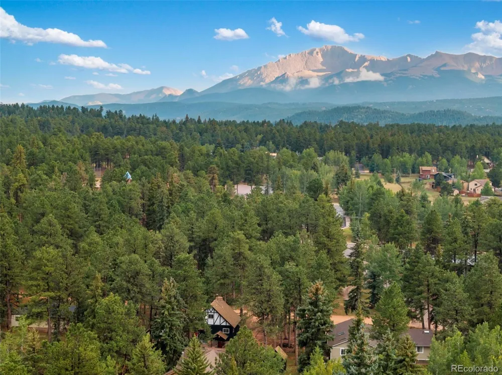 220 Wildflower Drive Woodland Park, CO 80863