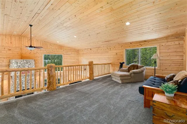 696 Brook Drive Idaho Springs, CO 80452