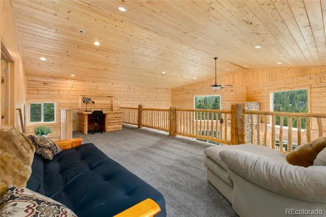 696 Brook Drive Idaho Springs, CO 80452