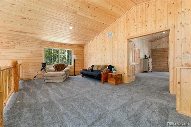 696 Brook Drive Idaho Springs, CO 80452