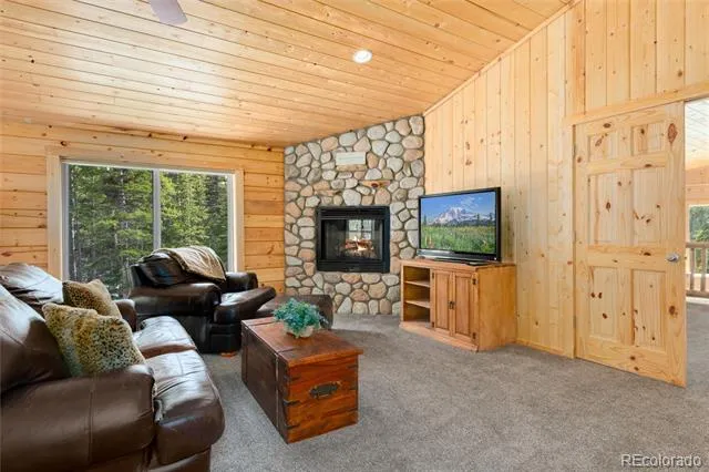 696 Brook Drive Idaho Springs, CO 80452