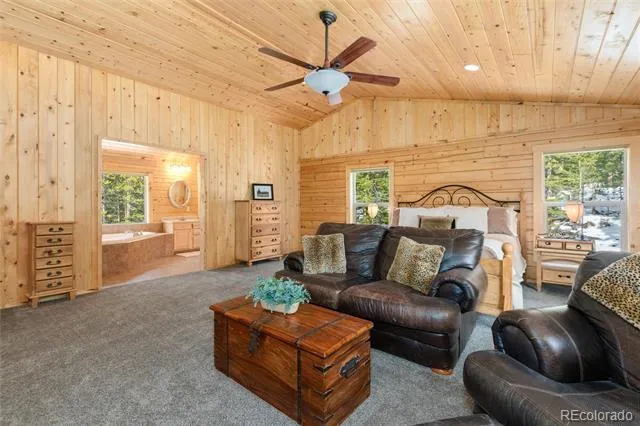 696 Brook Drive Idaho Springs, CO 80452