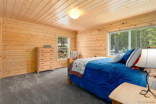 696 Brook Drive Idaho Springs, CO 80452