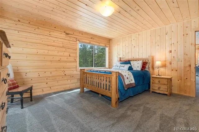 696 Brook Drive Idaho Springs, CO 80452