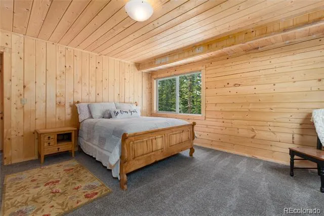 696 Brook Drive Idaho Springs, CO 80452