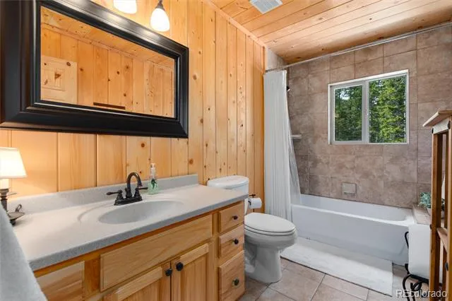 696 Brook Drive Idaho Springs, CO 80452