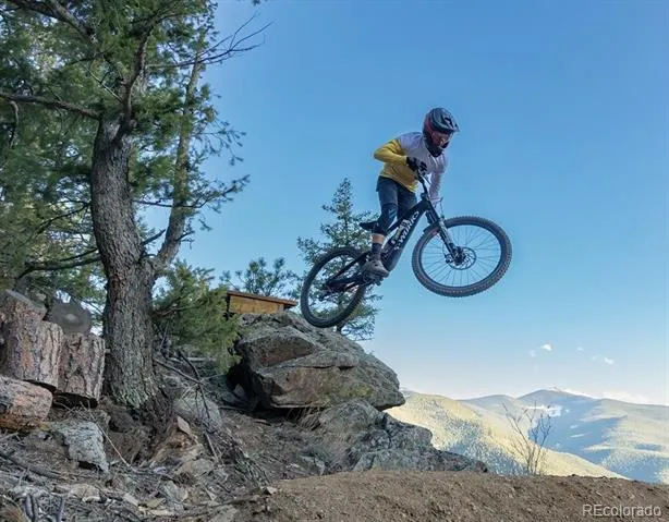 696 Brook Drive Idaho Springs, CO 80452