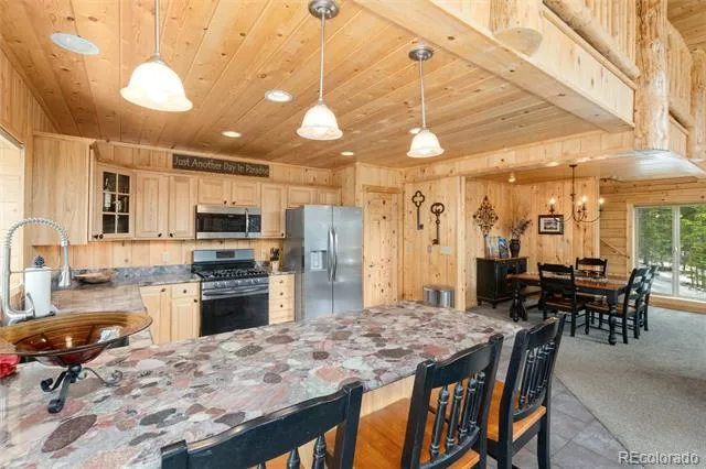 696 Brook Drive Idaho Springs, CO 80452